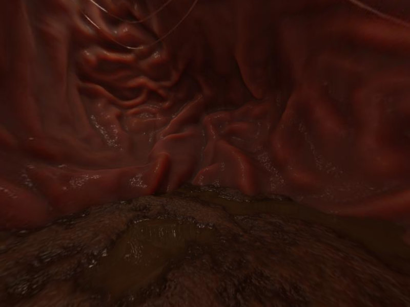 360 Stomach on Momento360