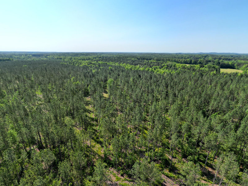 222 Acres for Sale in Oxford in Granville County NC